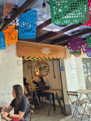  at Café Vegetal in Mexico City