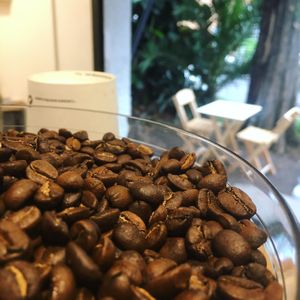 Organic coffee beans at Café Vegetal in Mexico City