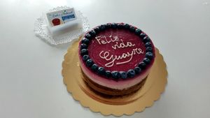 Vegan, sugar free, gluten free, nuts free Natural Cake at Dulce Natural in Lanzarote