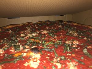 Large Vegan pie no vegan cheese with garlic  and basil, light on the sauce , extra crispy   at 3 Brothers of Rockville Center in Rockville Centre