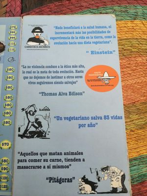 Vegan Phrases at Govinda Ram in Tepoztlan