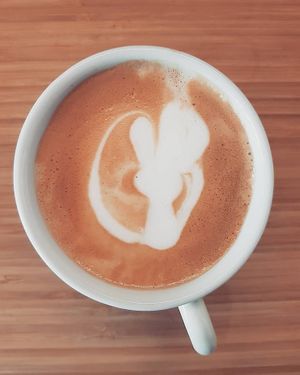 coffee shop, come and try our espresso bar coffee drinks
illy coffee, a premium roasted coffee
as optional we have coconut, almond or oat milk at Sugar Rabbit Kaffé in Albufeira