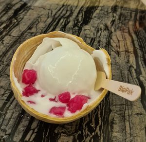 Premium Dessert Coconut Ice Cream (Husk) at Co+Nut+ink - Siloso Beach Walk in Central Singapore