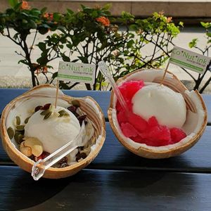 Premium Nuts & Fruits Coconut Ice Cream (Husk)
& Premium Dessert Coconut Ice Cream (Husk) at Co+Nut+ink - Siloso Beach Walk in Central Singapore