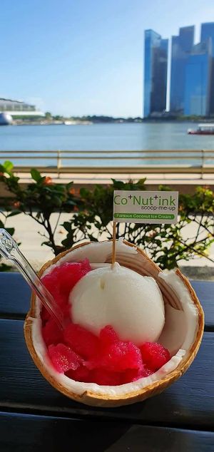 Premium Dessert Coconut Ice Cream (Husk) at Co+Nut+ink - Siloso Beach Walk in Central Singapore