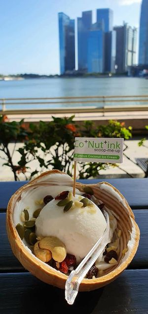 Premium Nuts & Fruits Coconut Ice Cream (Husk) at Co+Nut+ink - Siloso Beach Walk in Central Singapore