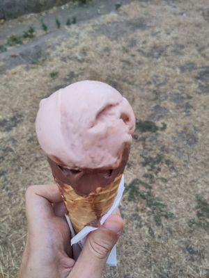 Two scoop ice cream at Jack's Gelato in Cambridge
