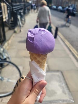 coconut ube  at Jack's Gelato in Cambridge