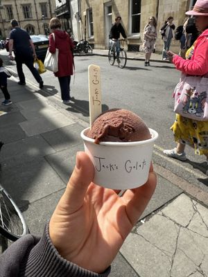 Vegan dark chocolate and sea salt gelato   at Jack's Gelato in Cambridge