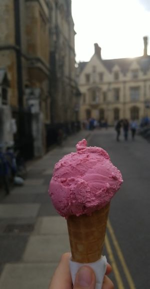 Hibiscus sorbet (vegan) at Jack's Gelato in Cambridge