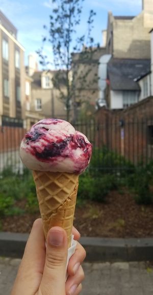Peanut and blackcurrant gelato (Vegan) at Jack's Gelato in Cambridge