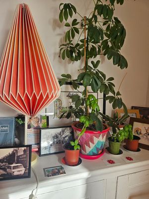  at Glass Onion in Liverpool