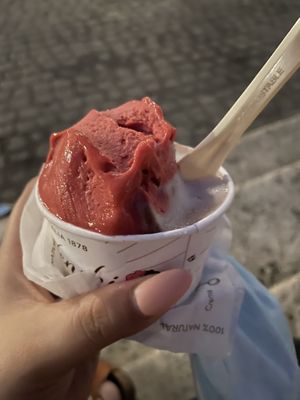 Lampone e cacao pulp  at Venchi in Rome