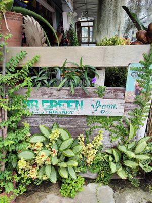  at Mr Green in Chiang Mai