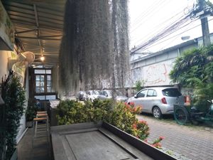 Open air at Mr Green in Chiang Mai