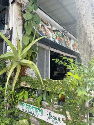   at Mr Green in Chiang Mai