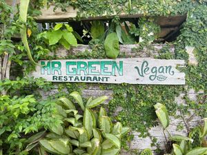   at Mr Green in Chiang Mai