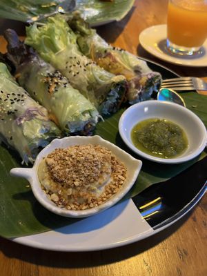 Rice paper rolls  at Mr Green in Chiang Mai
