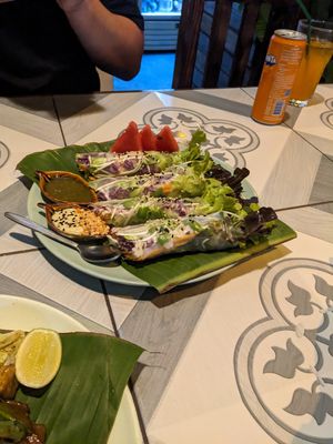 Fresh Spring Rolls! Recommend to get these! at Mr Green in Chiang Mai