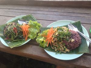 Morning glory (left) which is garlicky mushroomy goodness and larb (right) which is tofu, spring onion, coriandery limey goodness. Both filling and so tasty!  at Mr Green in Chiang Mai