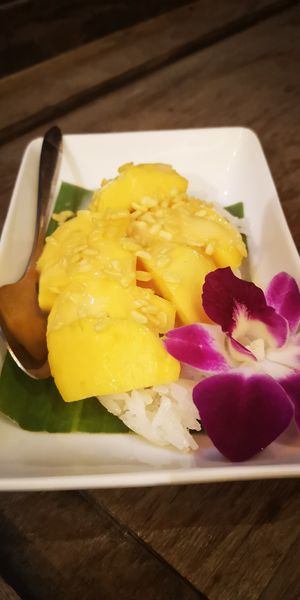 Sticky mango rice at Mr Green in Chiang Mai