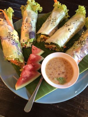 Best fresh summer rolls 😍😍😍 at Mr Green in Chiang Mai
