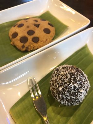 Cookie and snowball at Mr Green in Chiang Mai
