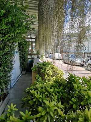 Outside at Mr Green in Chiang Mai