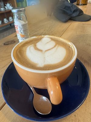   at Miss Green Bean in Potsdam