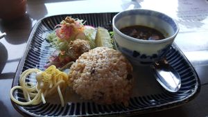 Curry platter at Kishin Natural Vegetarian in Ise