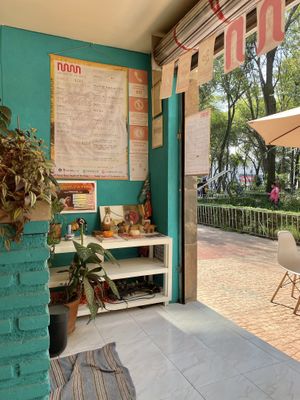 Interior  at Naan in Mexico City