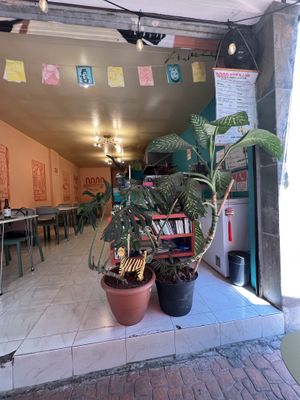 Space   at Naan in Mexico City