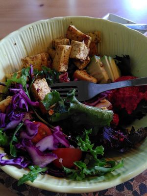 Buddha bowl with tofu, beetroot hummus and lots more. at Figo de Pita in Olhao