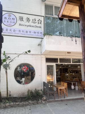 Reception to pay   at Veggie Ark 素方舟 - Sù Fāng Zhōu in Dali