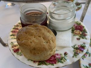 Vegan scone with strawberry jam and thick  coconut cream - scone was light and fluffy!  at The Tea Room in Sydney