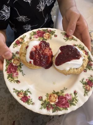 Cream and jam on fluffy scones  at The Tea Room in Sydney