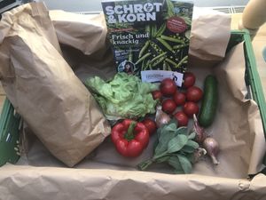My weekly Veggie Box at Bioland Lammertzhof in Kaarst