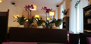 Ambiente at Napfényes Restaurant & Confectionery in Budapest