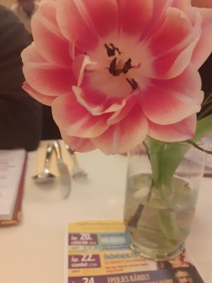  at Napfényes Restaurant & Confectionery in Budapest