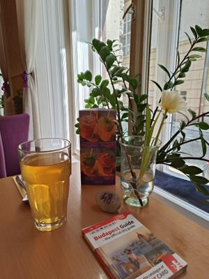  at Napfényes Restaurant & Confectionery in Budapest