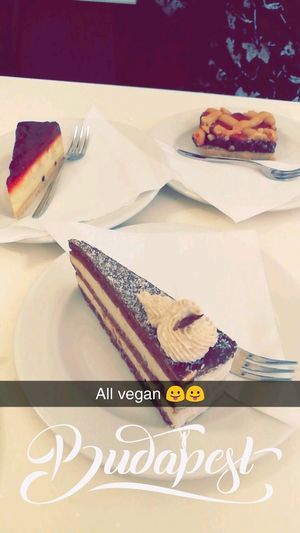 Amazing vegan cakes! at Napfényes Restaurant & Confectionery in Budapest