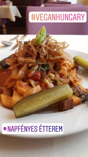Vegan traditional hungarian food at Napfényes Restaurant & Confectionery in Budapest