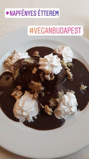 Vegan traditional hungarian dessert at Napfényes Restaurant & Confectionery in Budapest