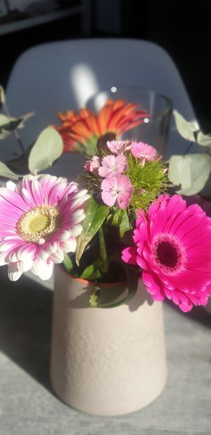 Pretty at Briki in Thornbury