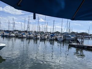 View at Fresco's in St Petersburg