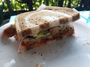 Pastrami sandwich at Counter Culture in Austin