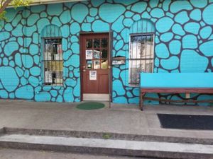 outside at Counter Culture in Austin