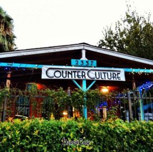 at Counter Culture in Austin
