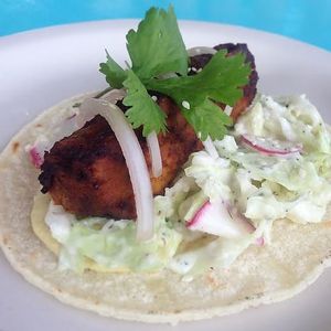 Thai BBQ Tempeh Taco....drool at Counter Culture in Austin