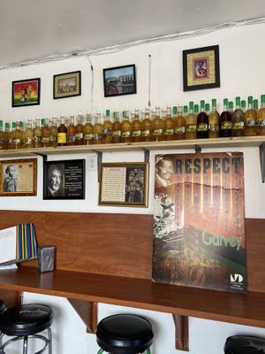 Plant wines and literature #Veganuary at I Stronga in North Miami